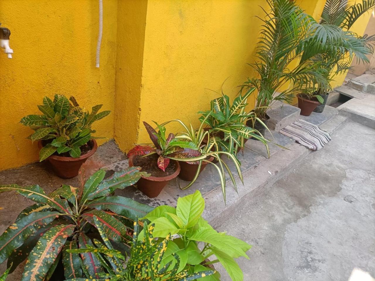 Nks Homestay ปอนดิเชอรี ภายนอก รูปภาพ